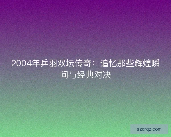 2004年乒羽双坛传奇：追忆那些辉煌瞬间与经典对决